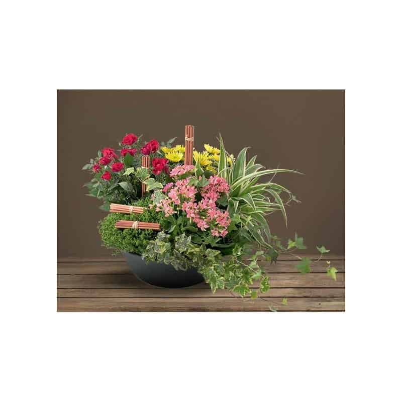 Coupe Horticole En Plastique Emocia - Grossiste Fleuriste