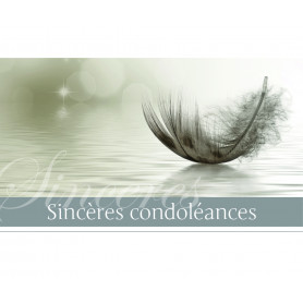 6 cartes de vœux de condoléances de Luxe Premium - Sincères condoléances -  17x12cm 