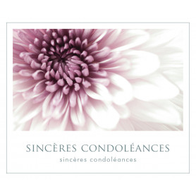 Carte Romantico Sincères Condoléances ( x 10 )