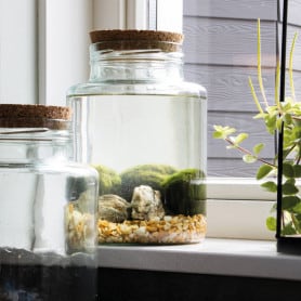Vase terrarium transparent / vases en verre 20 x 30 cm avec bouchon en liège  /